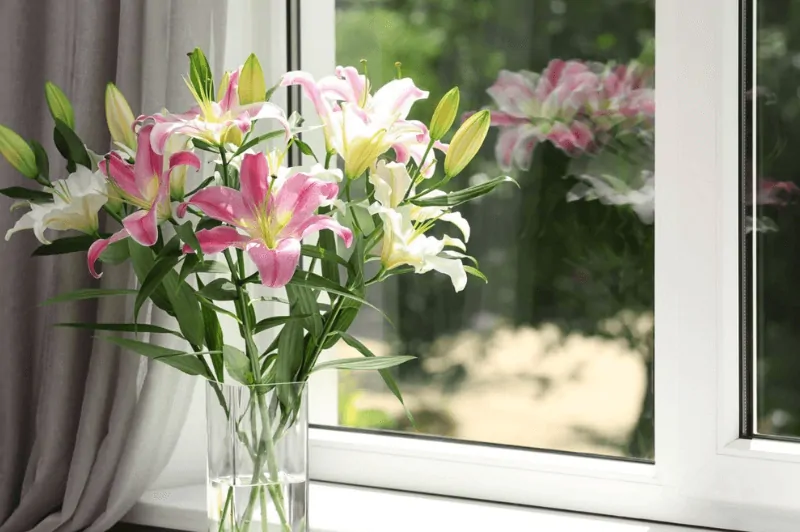 Profilés PVC — Titanium Technology